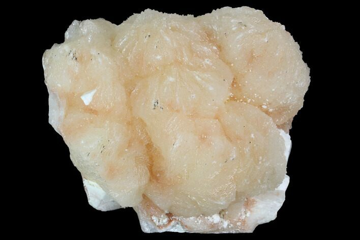 Peach Colored Stilbite Crystal Cluster- India #100163